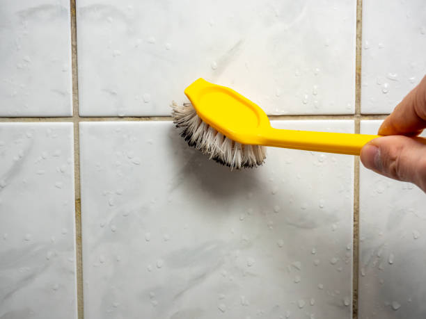 Best Certified Mold Removal  in Cottage Lake, WA