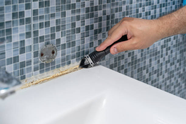 Best Emergency Mold Removal  in Cottage Lake, WA