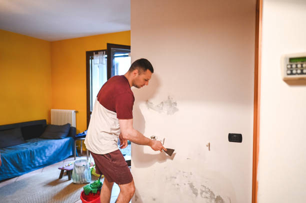 Best Attic Mold Removal  in Cottage Lake, WA